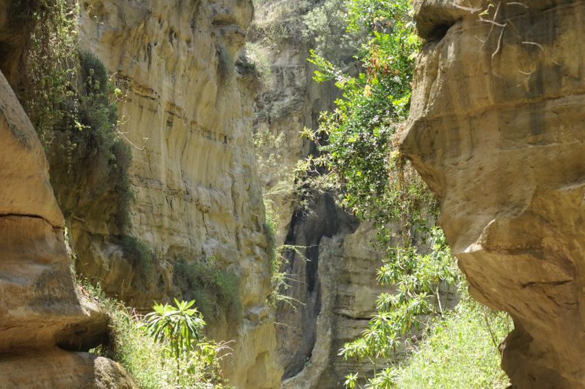 Hells_Gate_NP_5-2.jpg