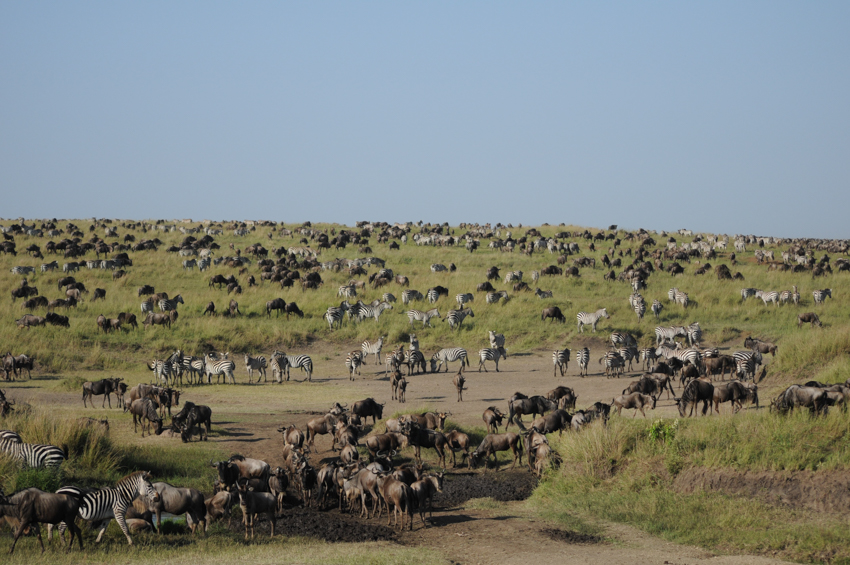 Mara_21-2.jpg