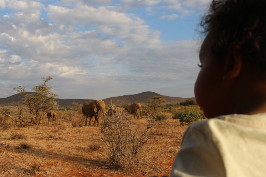 Samburu_NR-2.jpg
