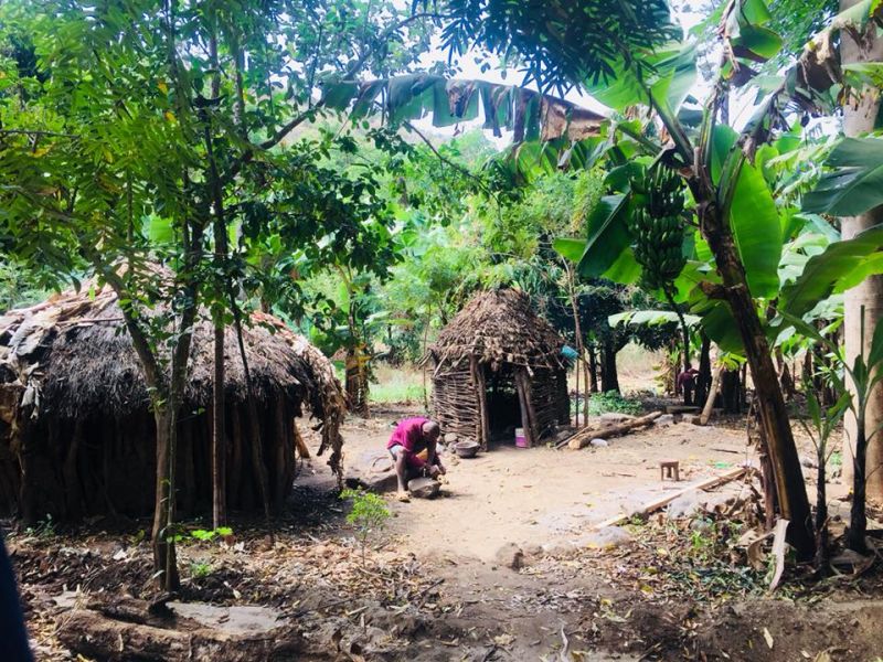 Diversité des paysages de Mto Wa Mbu