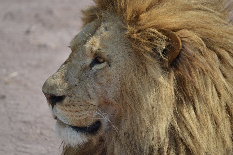 Que signifie le terme Big Five