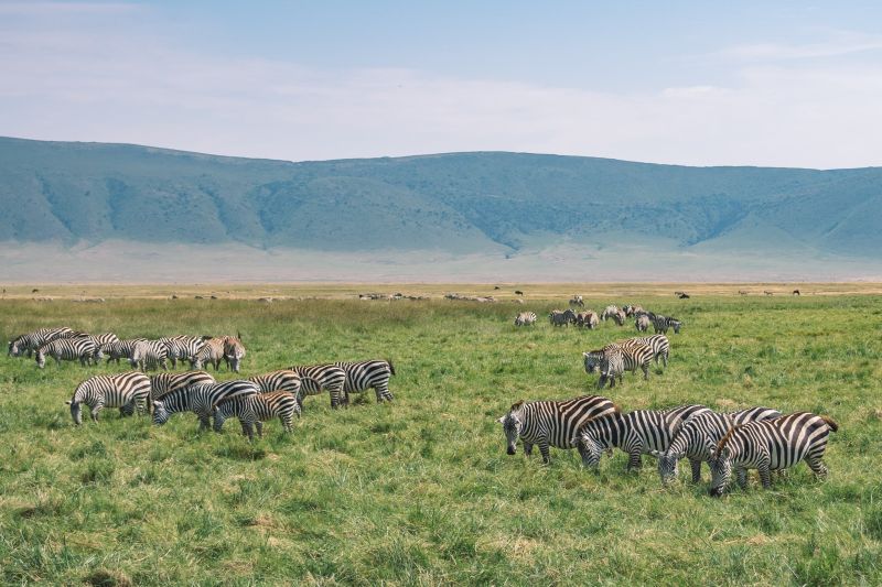 En Tanzanie