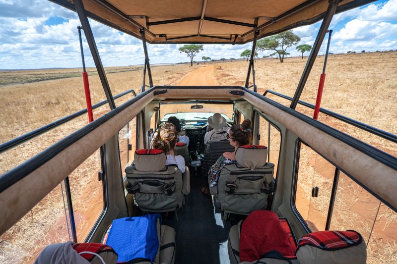 Voyager en autotour en Tanzanie, quels sont les inconvénients ?