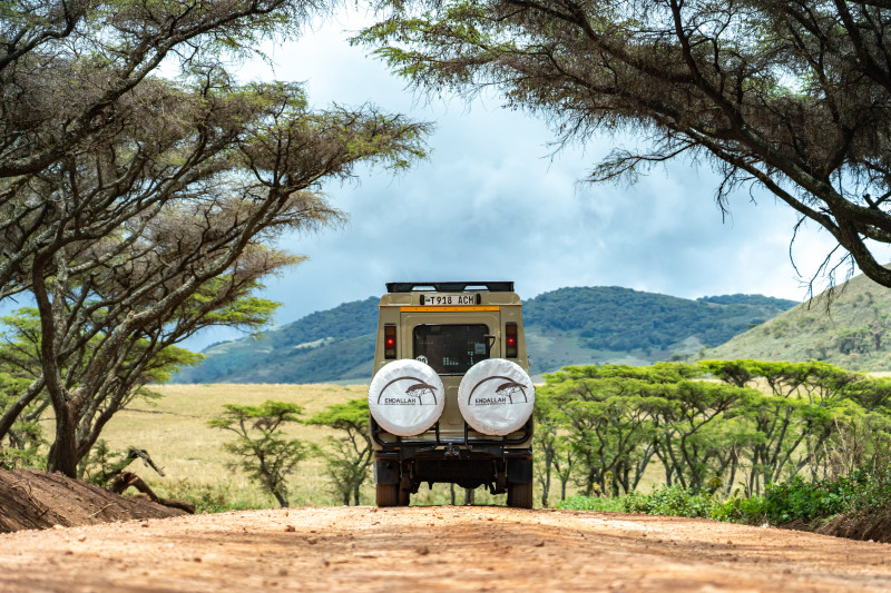 Safari en autotour ou avec un guide en Tanzanie ?
