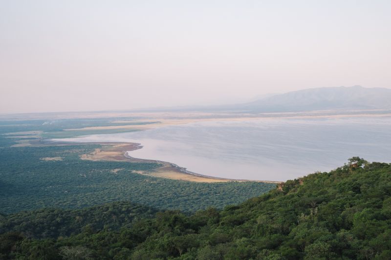 Lac Manyara, la réserve aux 400 espèces d’oiseaux