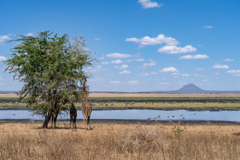 Une faune et des paysages très différents