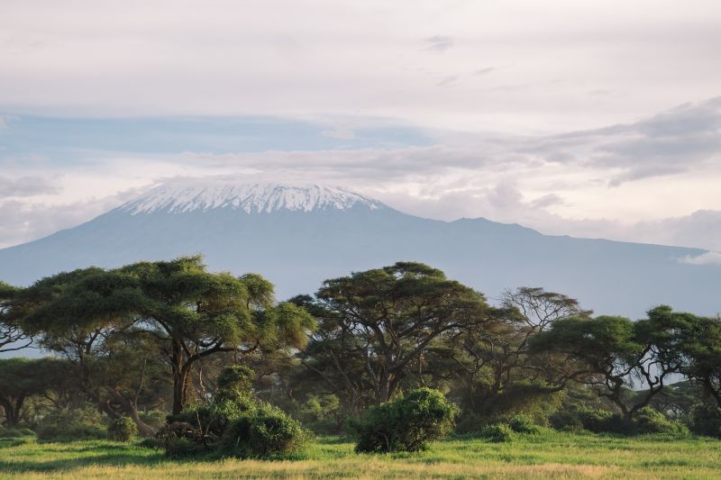 Faire un safari à cheval au Kenya