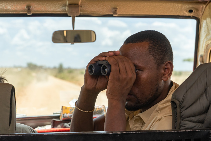 À quoi servent les guides de safaris chez Endallah ?