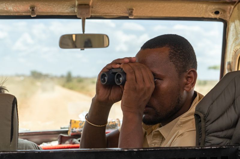 Conseils pour observer les Big Five lors de votre safari