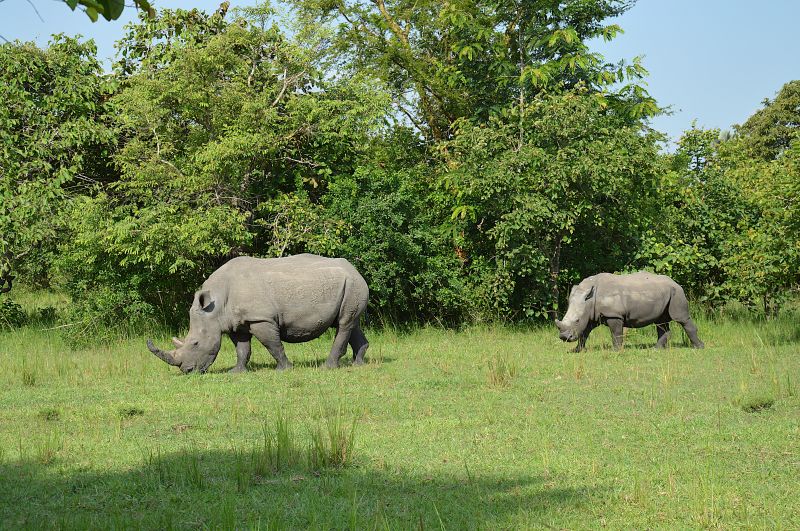 Ziwa Rhino Sanctuary