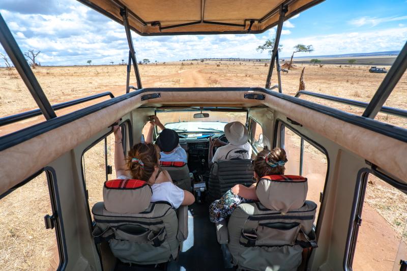 Nos voitures de safari