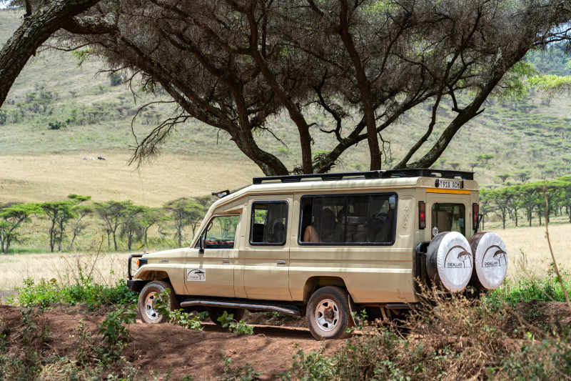 Quelle agence choisir pour un safari en Tanzanie ?