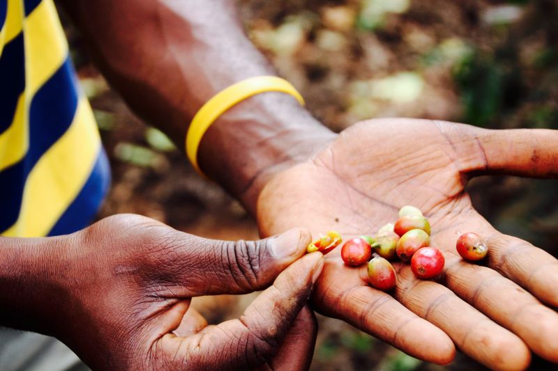 2. Des voyages solidaires et engagés pour le développement