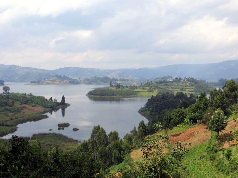 Découvrir le Lac Bunyonyi et observer les oiseaux 