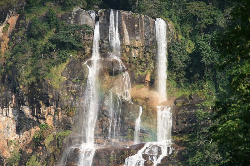 Observer près de 6 espèces de primates au cœur du parc national d’Udzungwa