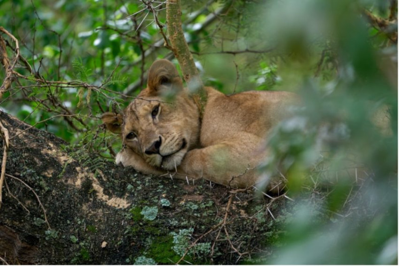 La checklist pour un voyage en Tanzanie