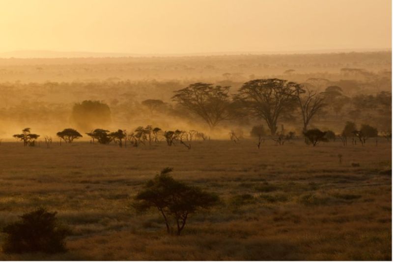 Votre valise : quoi emporter pour un voyage en Tanzanie