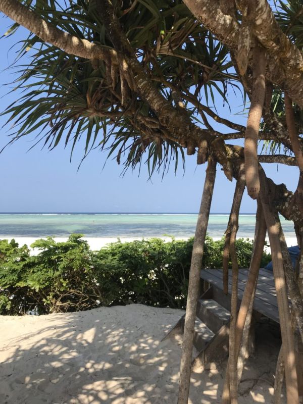 Le Sud de Zanzibar et ses plages - Au plus proche des pêcheurs
