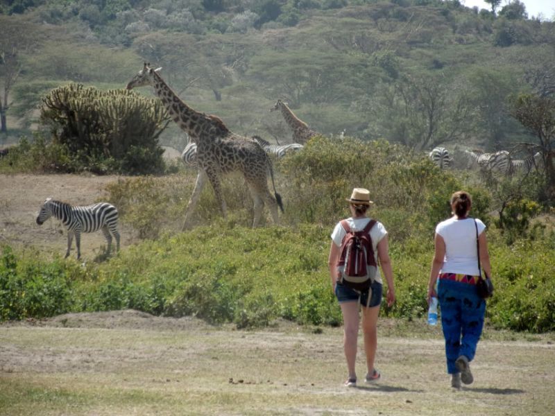 Une excursion originale sur le lac Naivasha