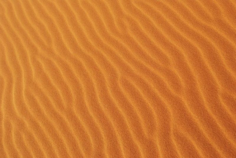 Quand partir en Tanzanie ou en Namibie?