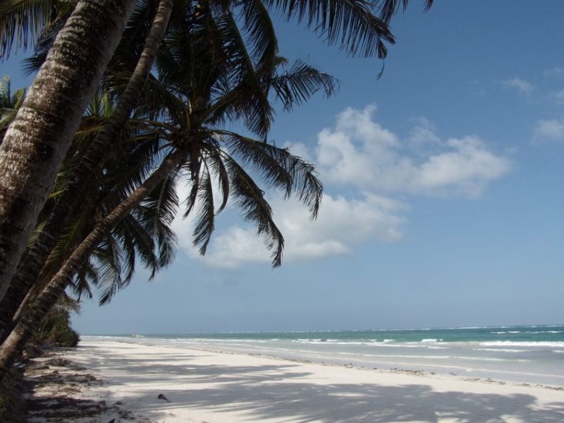 La meilleure période pour se rendre sur les plages du Kenya