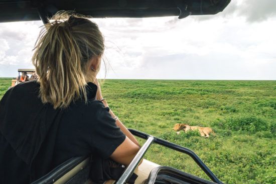 Laissez-vous guider en safari