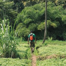 Rau Eco Tours