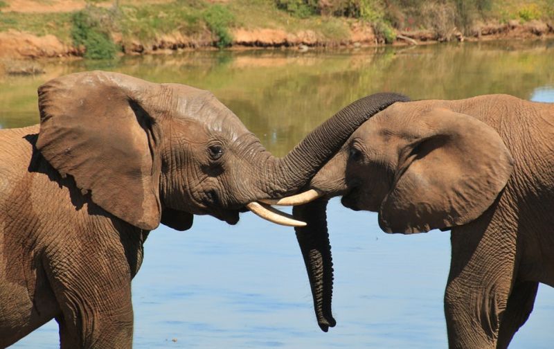 La signification du terme Big Five 