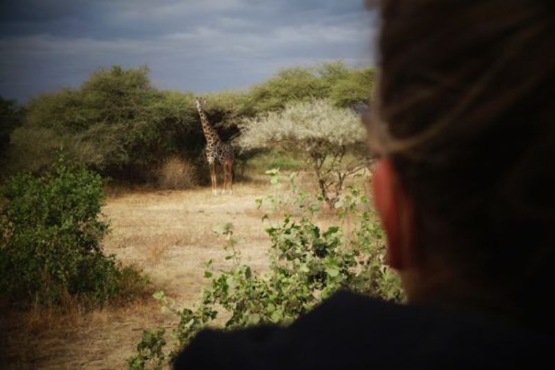 Organiser son safari en Tanzanie