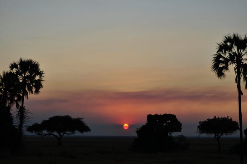 Un dîner aux chandelles dans la savane 