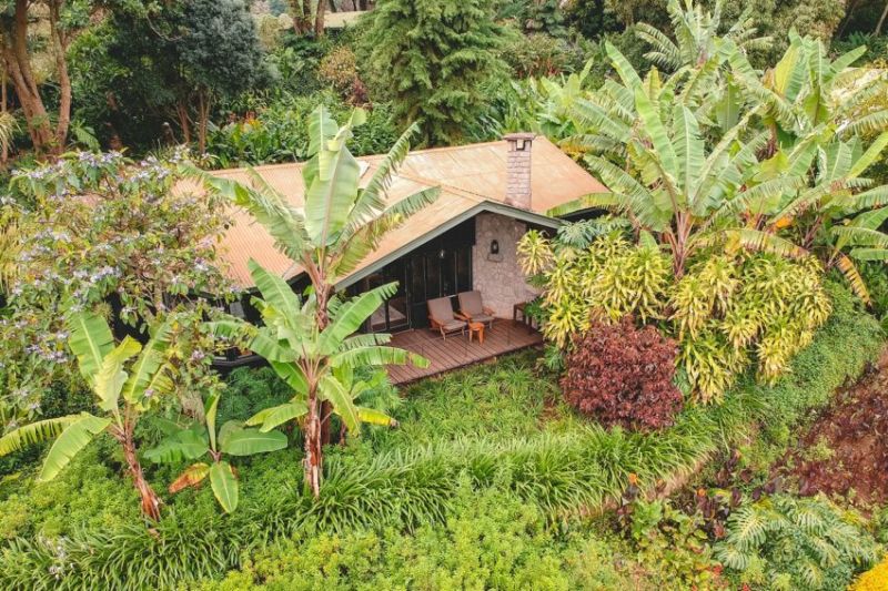 Se déconnecter dans une ancienne ferme au beau milieu d’une plantation de café