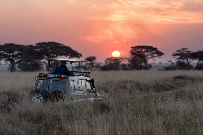 Voyage de noces en Tanzanie : où dormir pour votre lune de miel ?