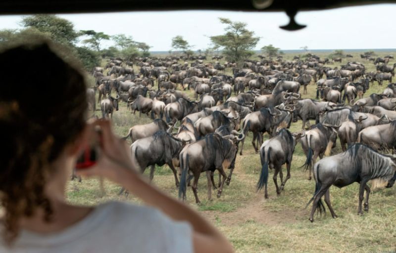 Quels animaux voir en Tanzanie ou au Kenya?