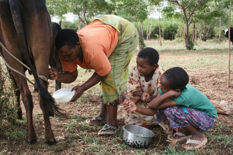 S’immerger dans la culture tanzanienne