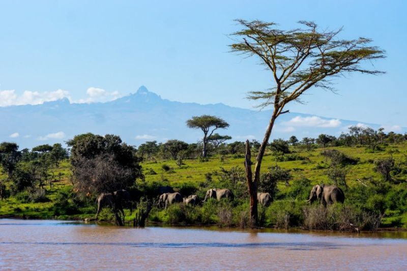 La meilleure période pour gravir le Mont Kenya