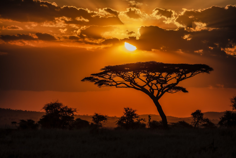 Où dormir pendant votre safari en Tanzanie ?