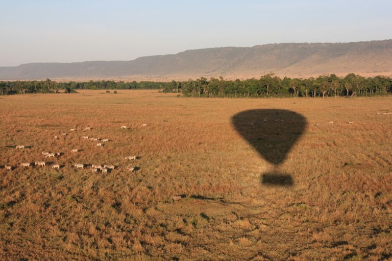 Faire un safari en montgolfière au cœur du Masaï Mara