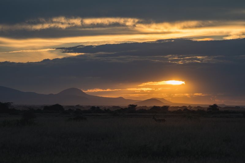 Pourquoi choisir le Kenya pour un voyage de noces ? 
