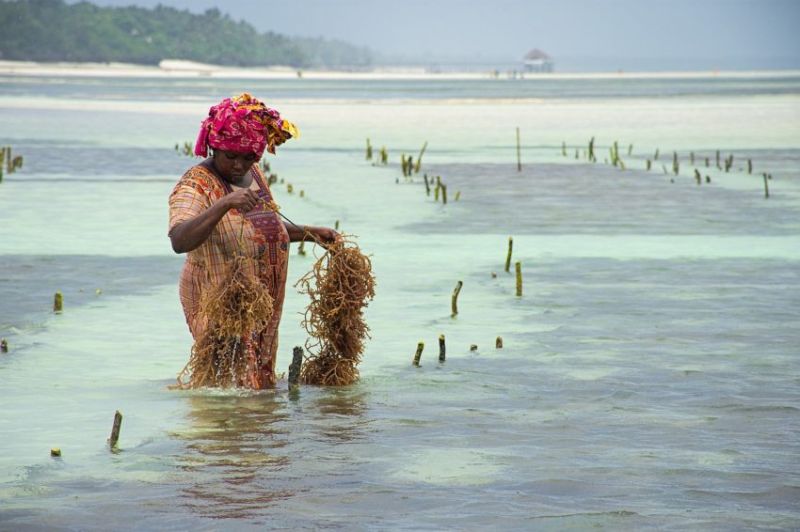 Visiter Zanzibar autrement