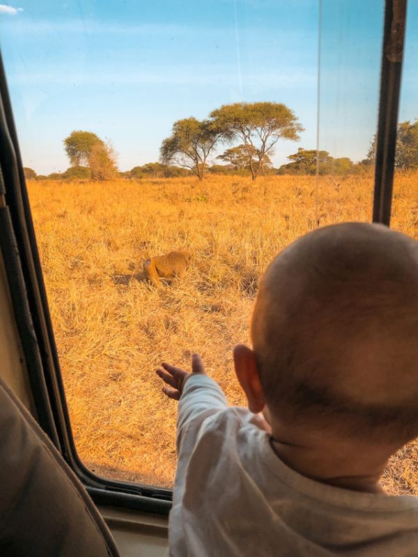 Nos 5 conseils avant de partir au Kenya et en Tanzanie avec un bébé