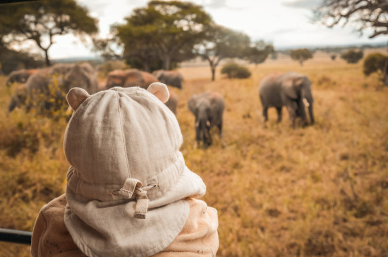 Partir en safari avec un bébé au Kenya ou en Tanzanie