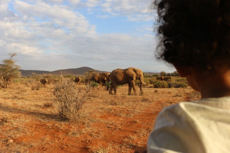 Le prix de votre safari au Kenya