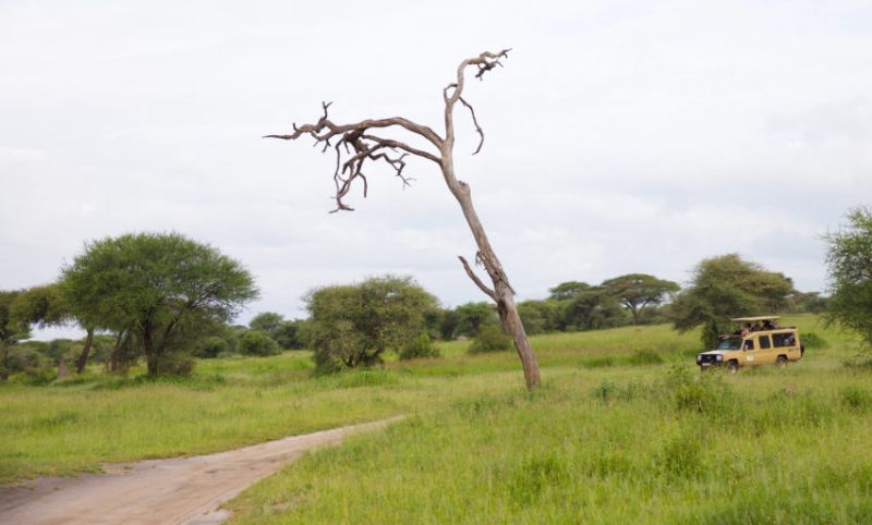 Budget non inclus dans votre safari en Tanzanie