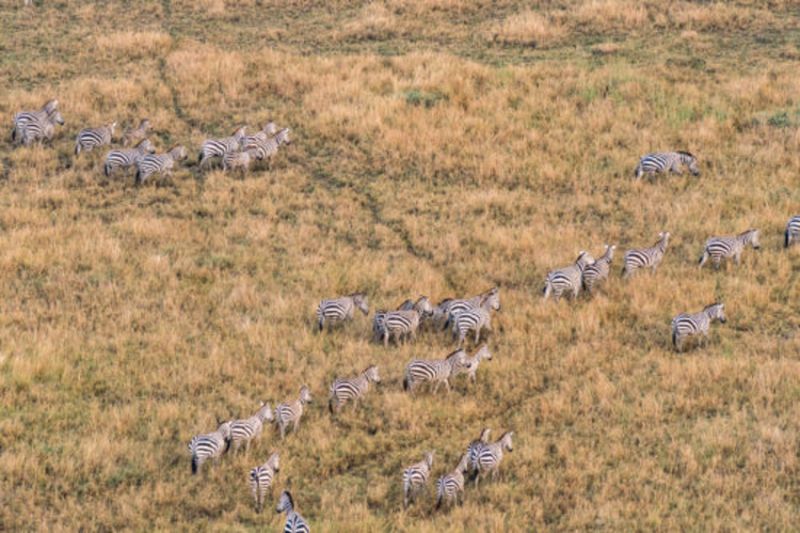 Où réaliser son vol en montgolfière en Tanzanie ?
