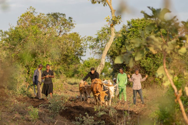 Des expériences authentiques en Tanzanie