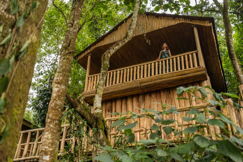 Où dormir pour observer les gorilles à Bwindi ? 