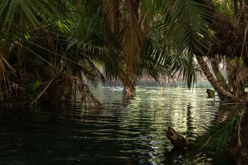 Infos pratiques pour visiter les sources d’eau chaude Kikuletwa 