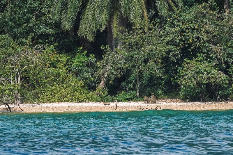 Le Lac Tanganyika et sa biodiversité 