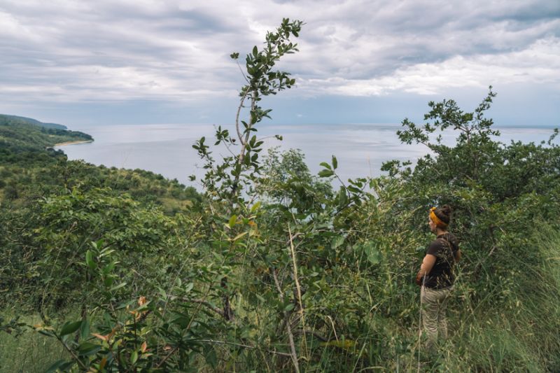 Le Parc national de Gombe Stream et ses chimpanzés