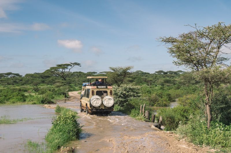 Un safari dans le Parc National de Saadani